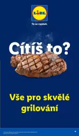 Lidl leták Strana 13