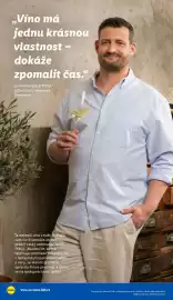 Lidl leták Strana 24