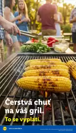 Lidl leták Strana 40