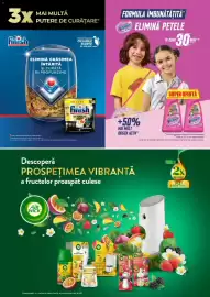 Catalog Auchan Pagină 31