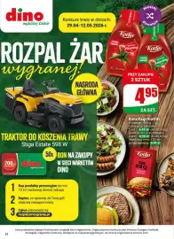 Dino gazetka tydzień 19 Strona 22