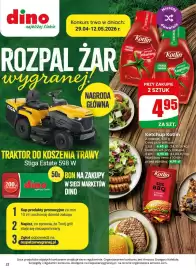 Dino gazetka tydzień 19 Strona 22