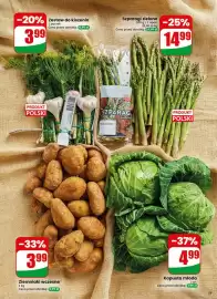 Dino gazetka tydzień 19 Strona 35