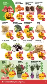 Catalog Penny săptămâna 19 Pagină 2