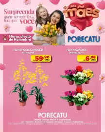Catálogo Supermercado Porecatu semana 19 Página 2