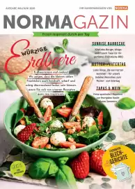 Norma Magazin Seite 1
