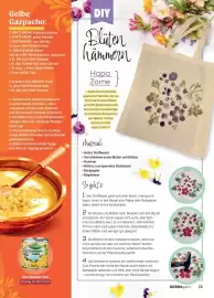 Norma Magazin Seite 15