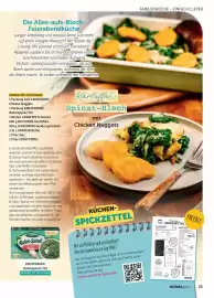 Norma Magazin Seite 23