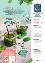 Norma Magazin Seite 5