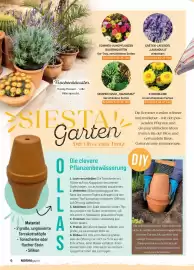 Norma Magazin Seite 6