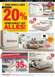 Hofmeister Prospekt Seite 6