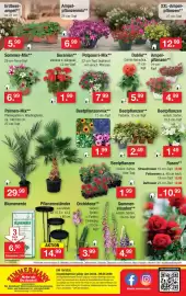 Zimmermann Prospekt woche 19 Seite 10