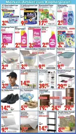 Wreesmann Prospekt Seite 18