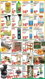 Wreesmann Prospekt Seite 8