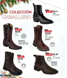 Catálogo Cklass Página 208