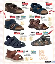 Catálogo Cklass Página 269