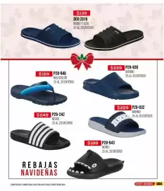 Catálogo Cklass Página 406