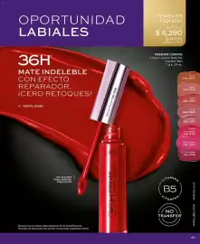 Catálogo L'Bel Página 45