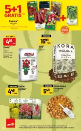Polomarket gazetka tydzień 19 Strona 4
