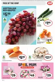 IGA catalogue week 19 Page 7