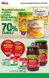 Dino gazetka tydzień 19 Strona 7