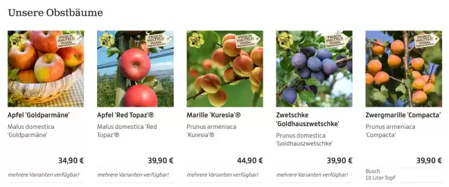 Starkl Flugblatt Seite 1