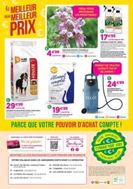 Catalogue Delbard page 8