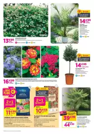 Catalogue Delbard page 2