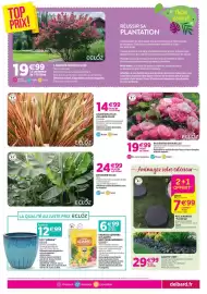 Catalogue Delbard page 3