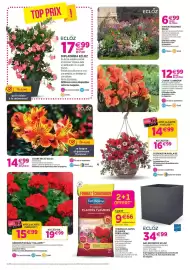 Catalogue Delbard page 4