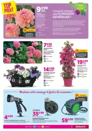 Catalogue Delbard page 5
