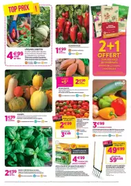 Catalogue Delbard page 6