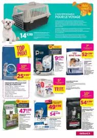 Catalogue Delbard page 7