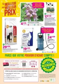 Catalogue Delbard page 8