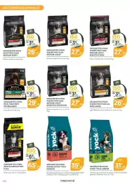 Catalogue Point Vert page 10