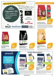 Catalogue Point Vert page 11