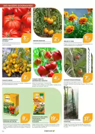 Catalogue Point Vert page 4