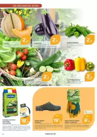 Catalogue Point Vert page 6