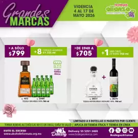 Folleto Bodegas Alianza Página 13