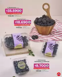 Catálogo Olímpica Página 34