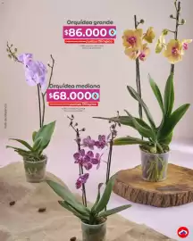 Catálogo Olímpica Página 35