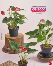 Catálogo Olímpica Página 38