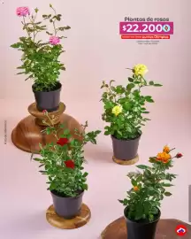Catálogo Olímpica Página 39