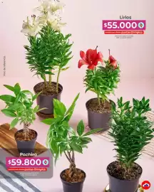 Catálogo Olímpica Página 40