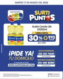 Catálogo Surtifamiliar Página 2