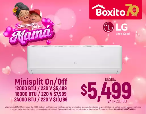 Boxito (válido hasta 31-05)