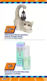 Action gazetka tydzień 19 Strona 29