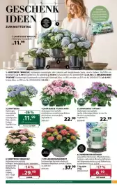 Dehner Flugblatt woche 19 Seite 3