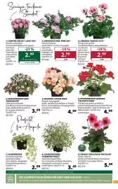 Dehner Flugblatt woche 19 Seite 5