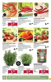 Dehner Flugblatt woche 19 Seite 7